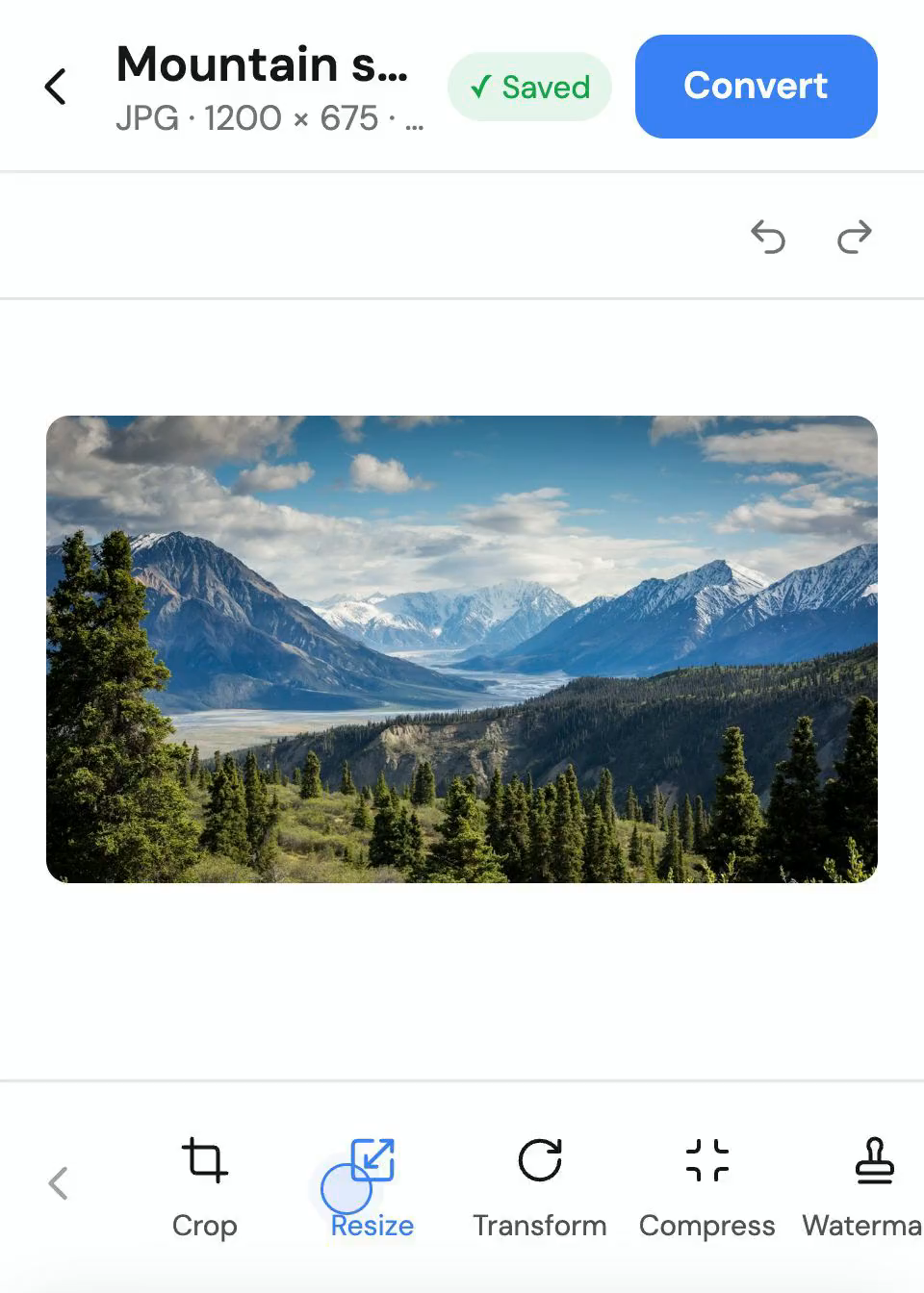 Resize, crop and watermark images